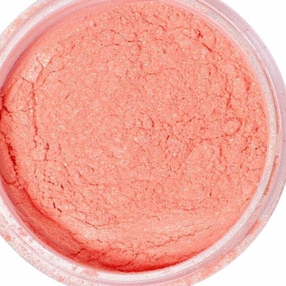 NIB Powdered Blush - Picture 2 of 4